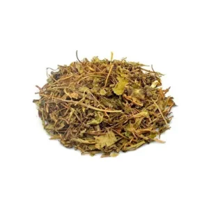 CHA CENTELA ASIATICA