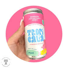 KOMBUCHA DE UVA ROSE COM ZIMBRO